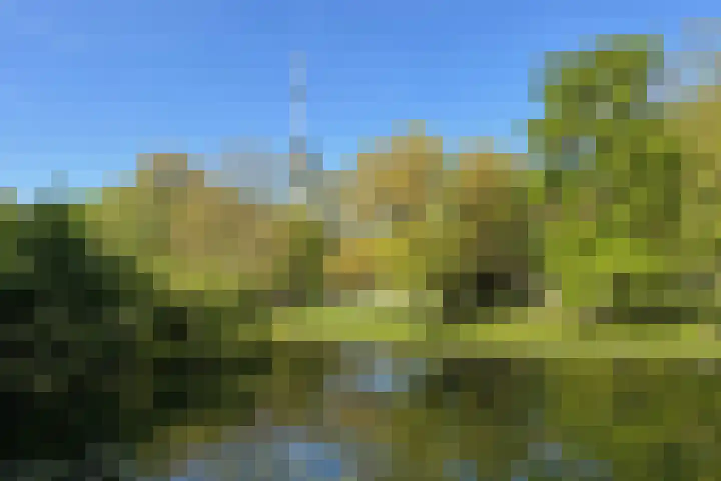 Coolhaven 26 D Rotterdam thumbnail 35