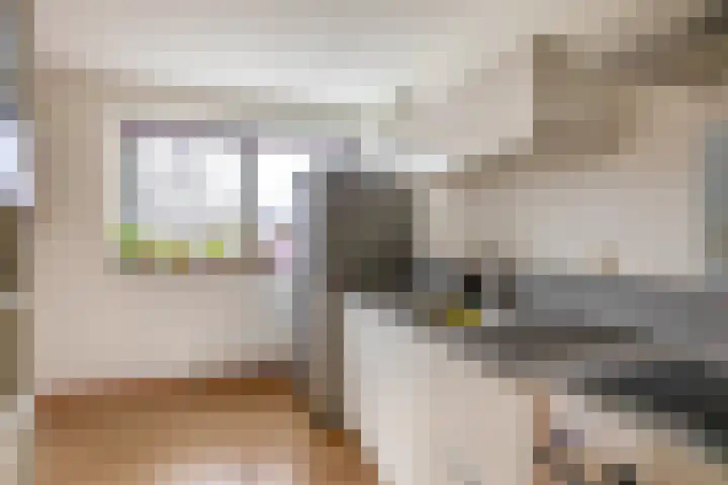 Coolhaven 415 Rotterdam thumbnail 17