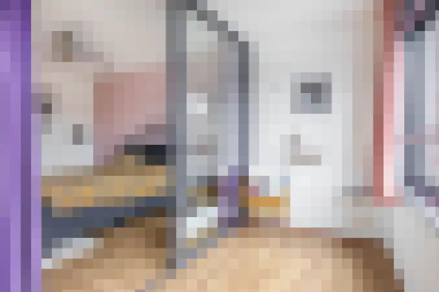 Coolhaven 415 Rotterdam thumbnail 21