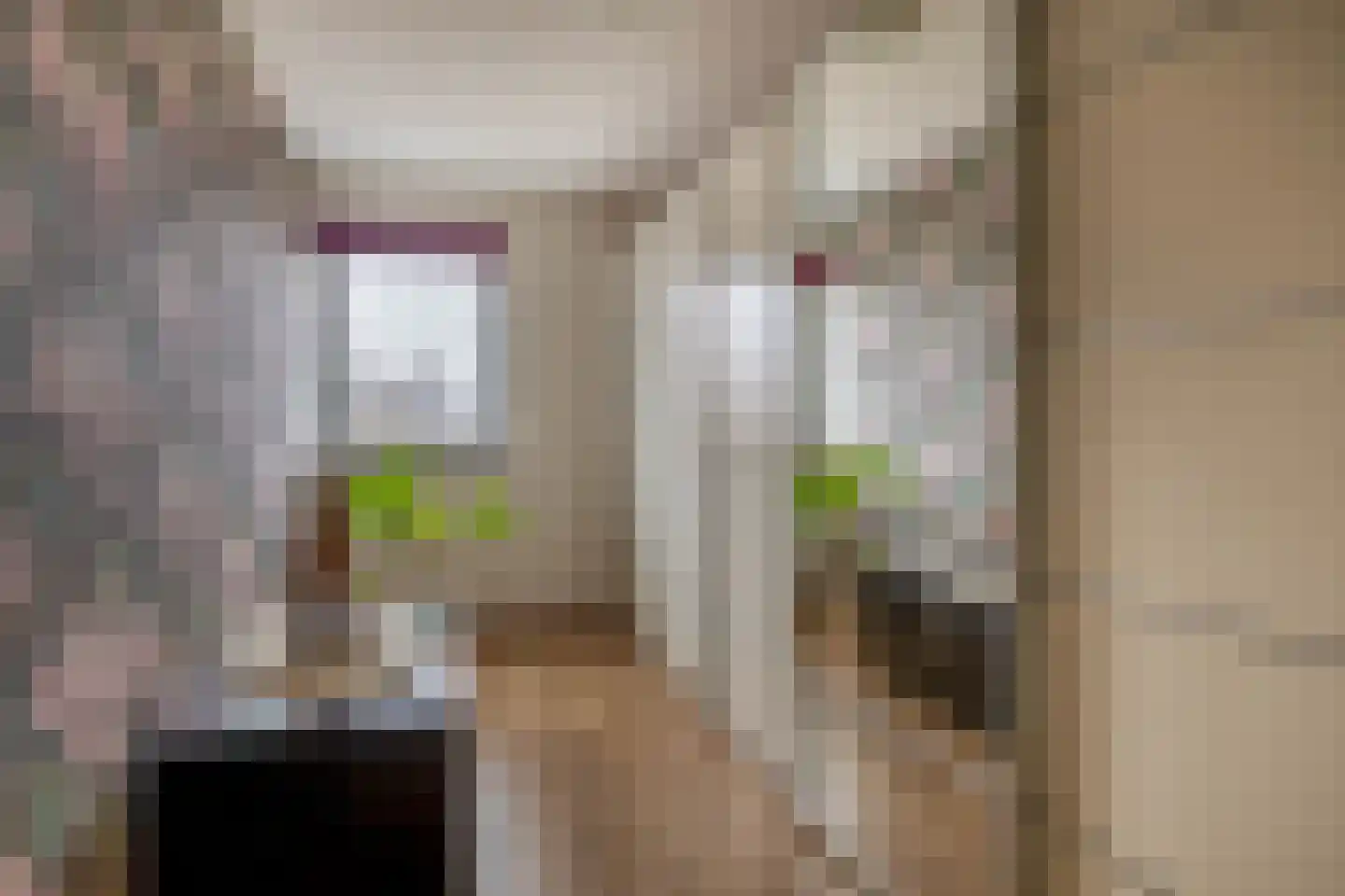 Coolhaven 415 Rotterdam thumbnail 26