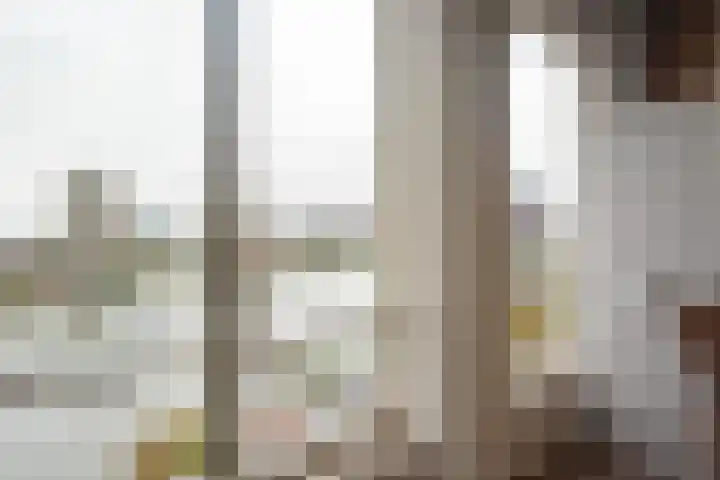 Coolhaven 48 D Rotterdam thumbnail 24