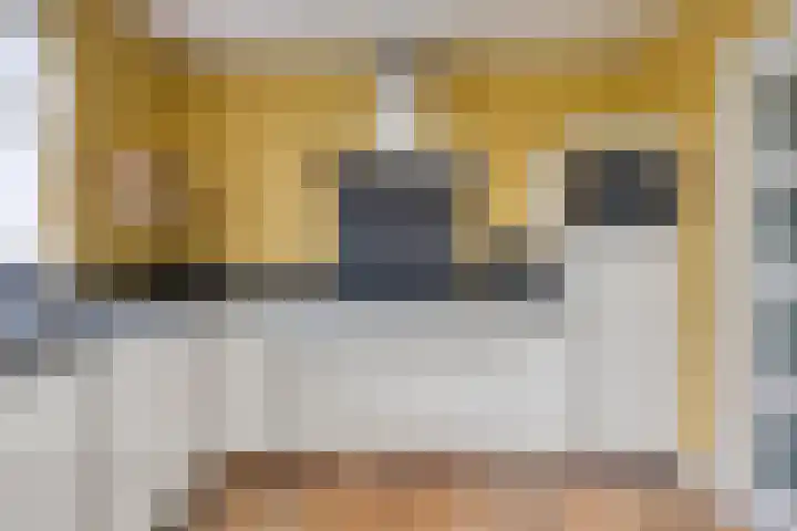 Coolhof 8 Lieshout thumbnail 13