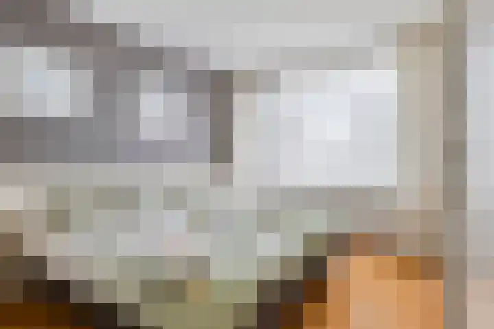 Coolhof 8 Lieshout thumbnail 25