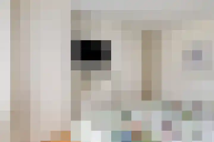 Coolhof 8 Lieshout thumbnail 26