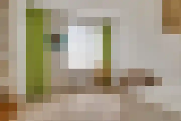 Coolhof 8 Lieshout thumbnail 27