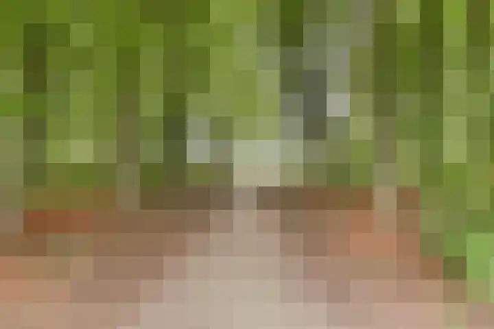 Coolhof 8 Lieshout thumbnail 32