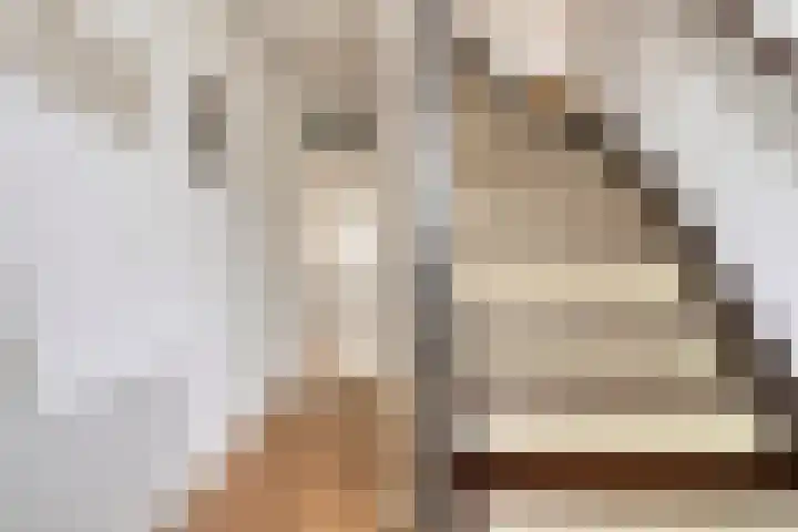 Coolhof 8 Lieshout thumbnail 5