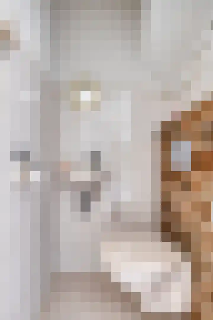 Coolhof 8 Lieshout thumbnail 7