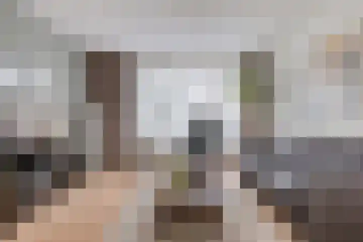 Coolhof 8 Lieshout thumbnail 8