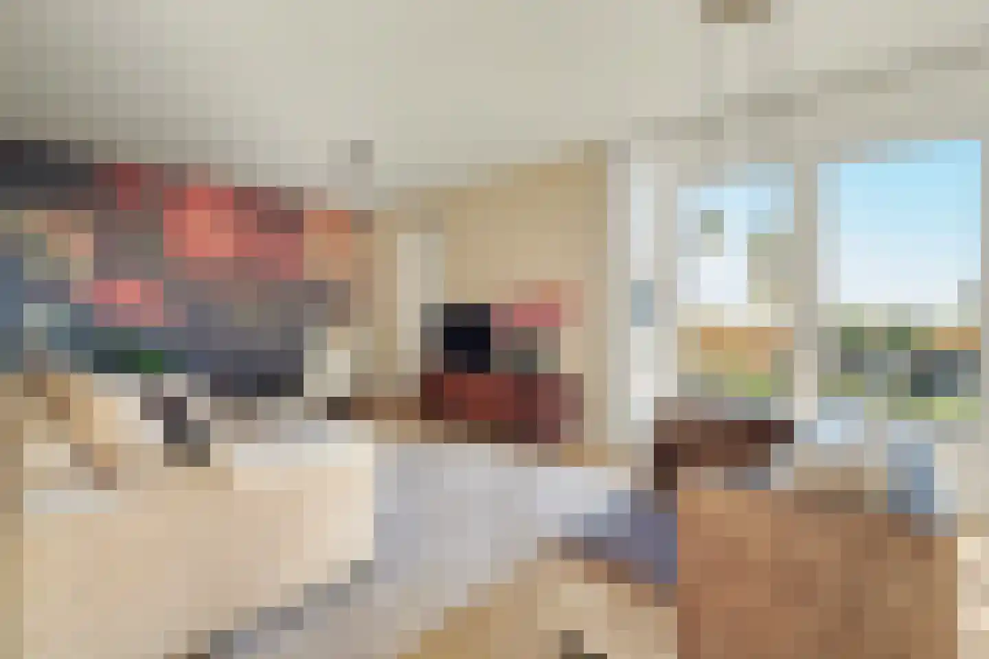 Coolhofflaan 26 Waarde thumbnail 12