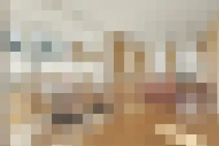 Coolhofflaan 26 Waarde thumbnail 16