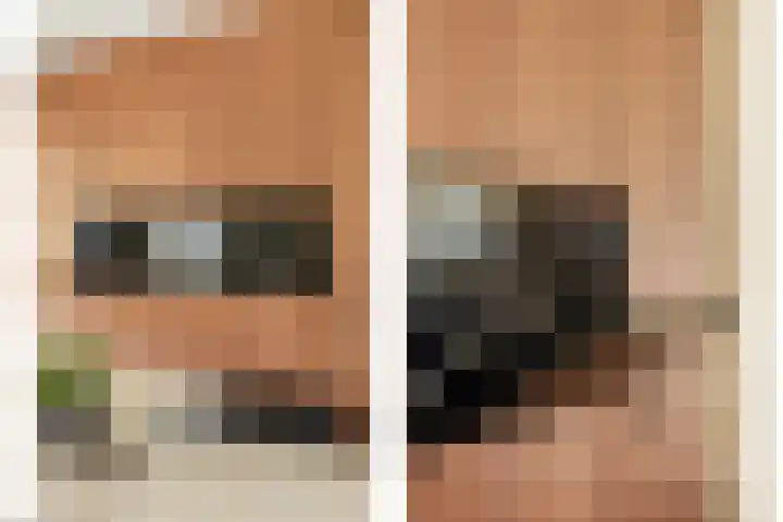 Coolhofflaan 26 Waarde thumbnail 21