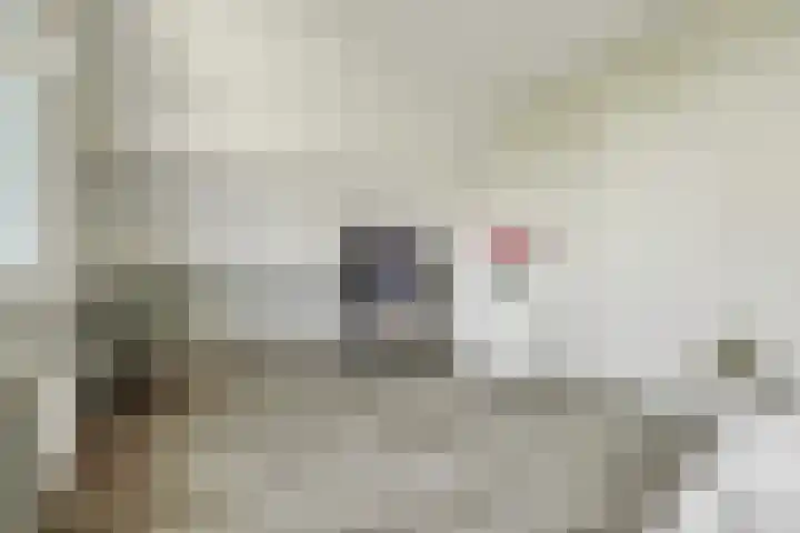 Coolhofflaan 26 Waarde thumbnail 30