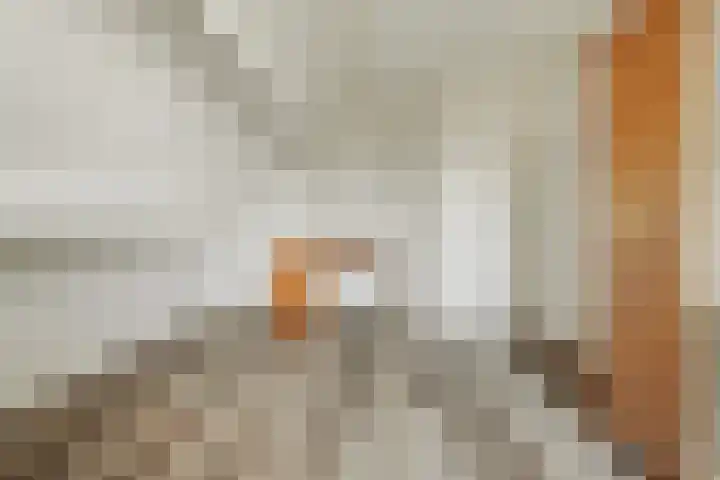 Coolhofflaan 26 Waarde thumbnail 32