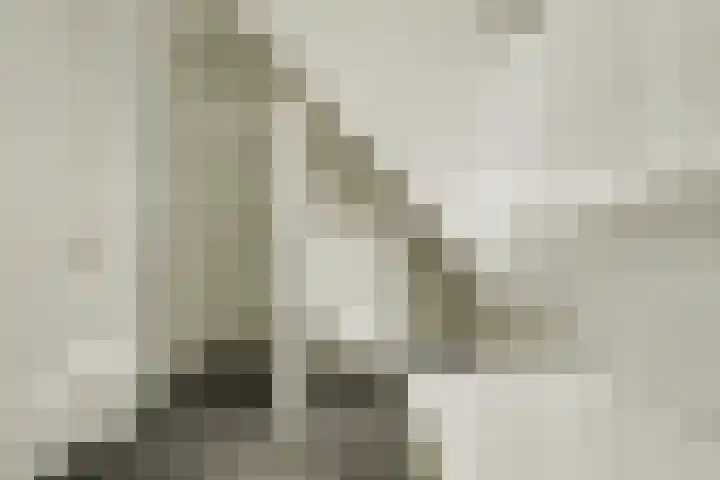 Coolhofflaan 26 Waarde thumbnail 34