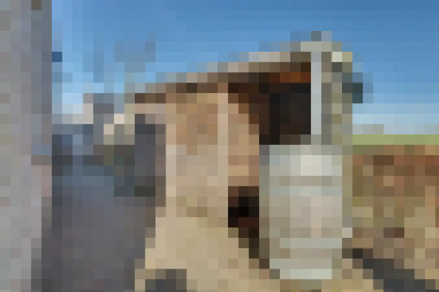 Coolhofflaan 26 Waarde thumbnail 41