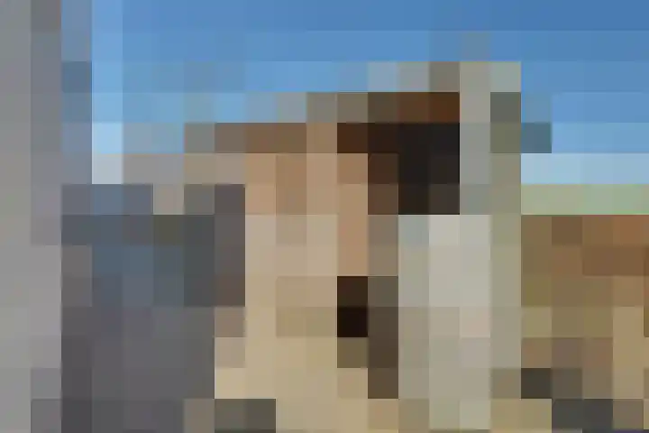 Coolhofflaan 26 Waarde thumbnail 41