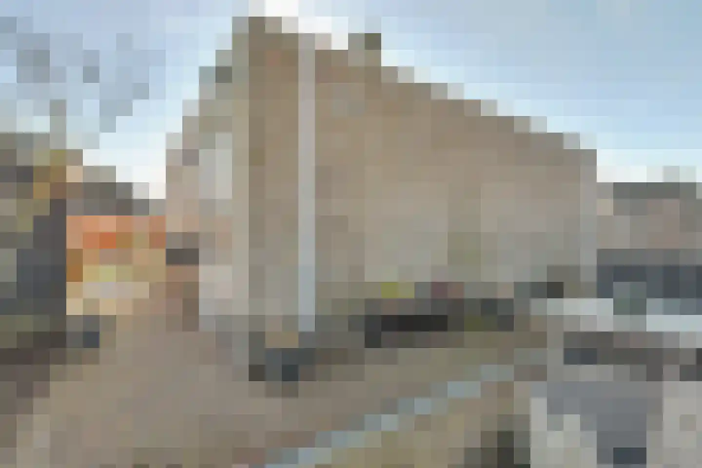 Coolhofflaan 26 Waarde thumbnail 43