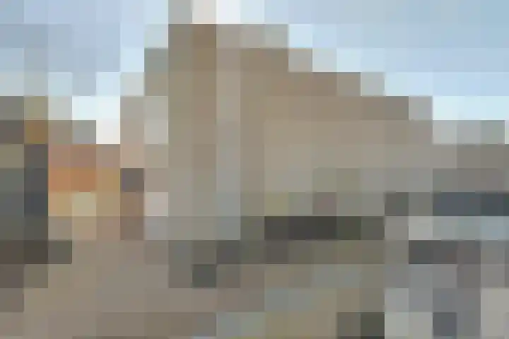 Coolhofflaan 26 Waarde thumbnail 43