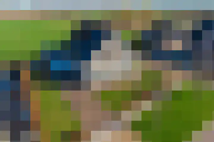 Coolhofflaan 26 Waarde thumbnail 48