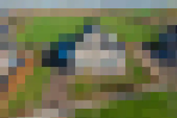 Coolhofflaan 26 Waarde thumbnail 49