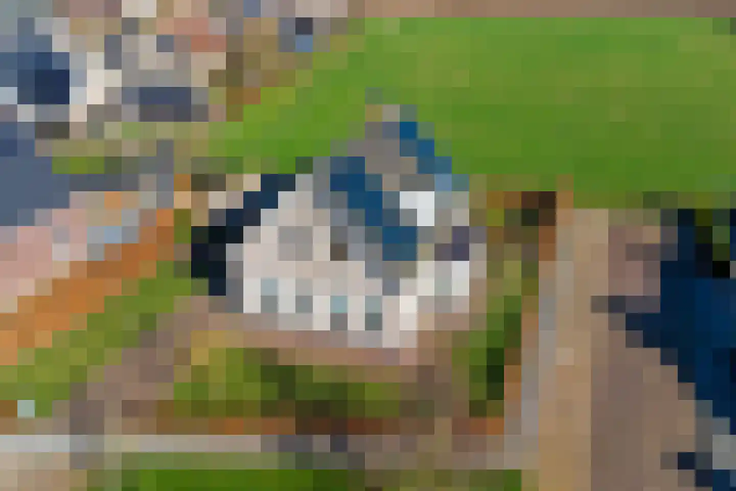 Coolhofflaan 26 Waarde thumbnail 50