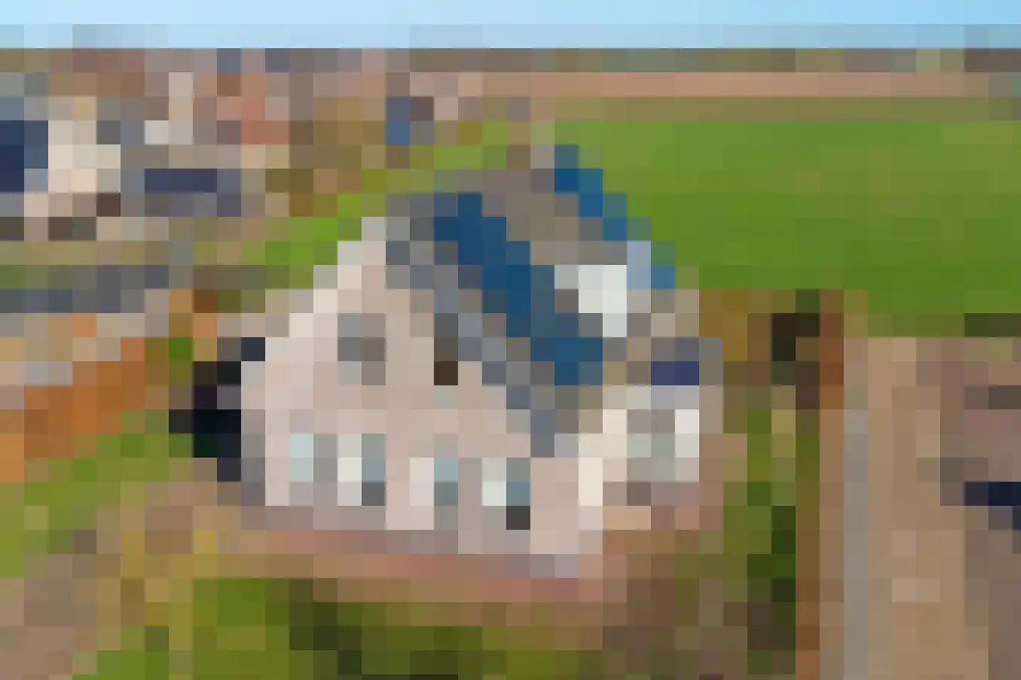 Coolhofflaan 26 Waarde thumbnail 51