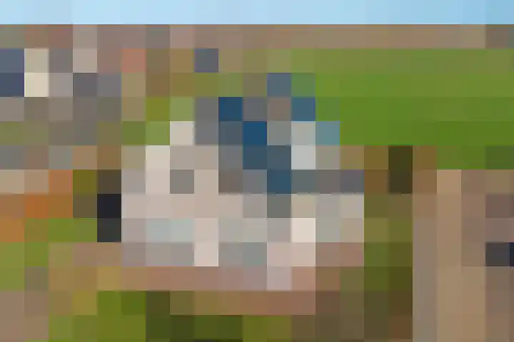 Coolhofflaan 26 Waarde thumbnail 51