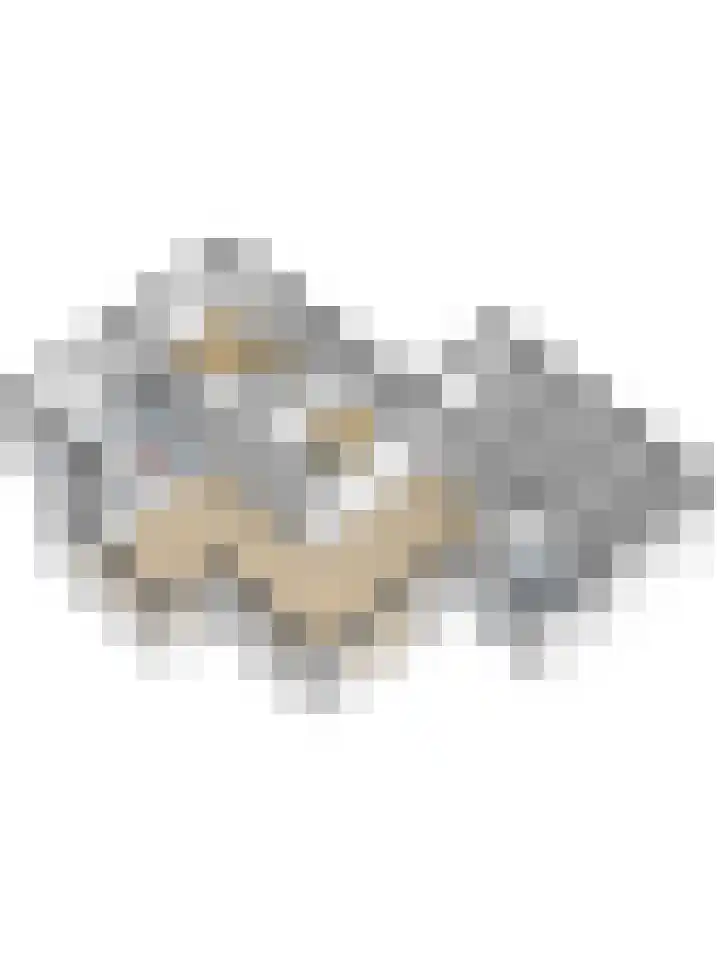 Coolhofflaan 26 Waarde thumbnail 57