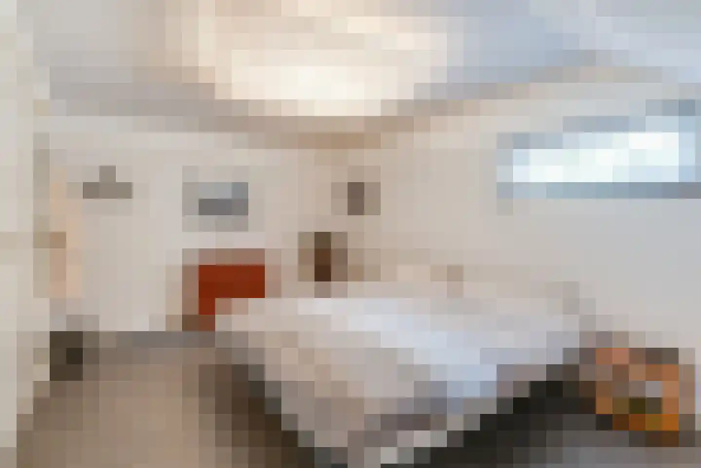 Coolsmahof 3 Driebergen-Rijsenburg thumbnail 13