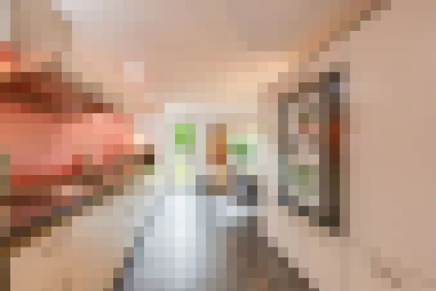 Coolsmahof 3 Driebergen-Rijsenburg thumbnail 22