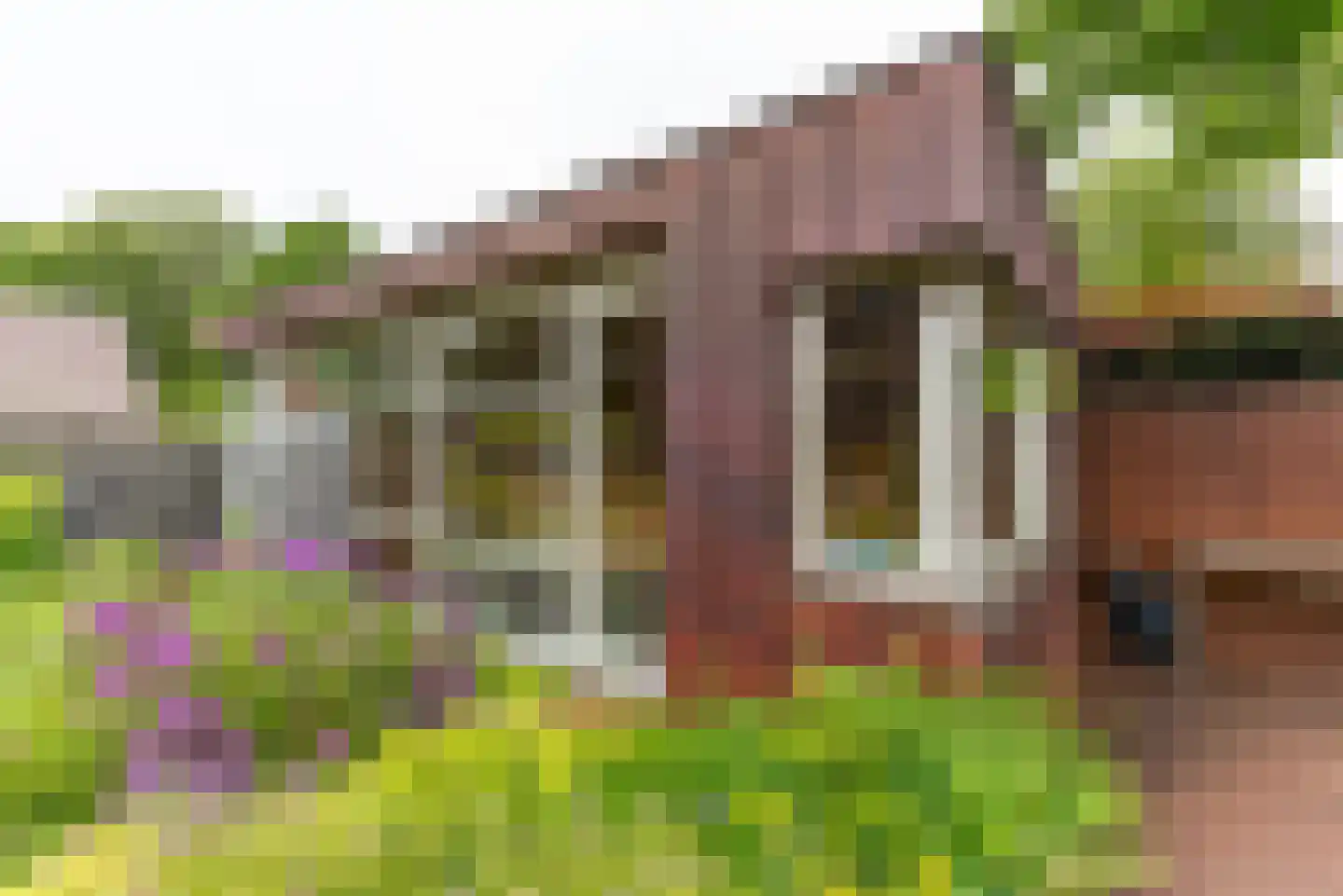 Coolsmahof 3 Driebergen-Rijsenburg thumbnail 24