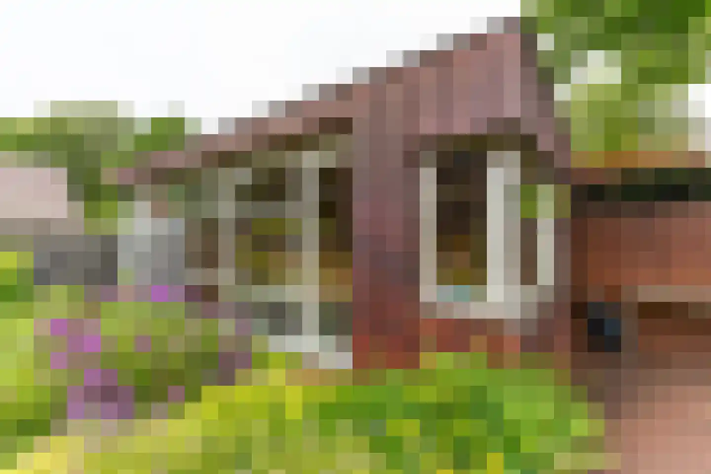 Coolsmahof 3 Driebergen-Rijsenburg thumbnail 24
