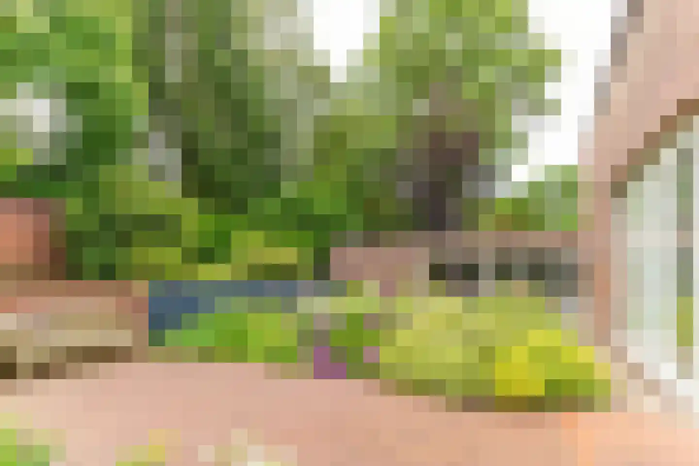 Coolsmahof 3 Driebergen-Rijsenburg thumbnail 26