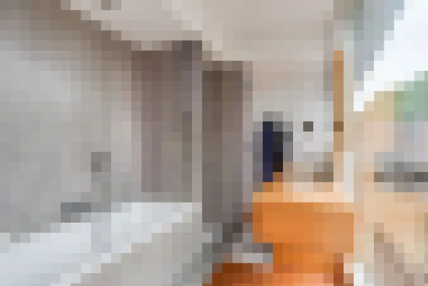 Coolsmahof 3 Driebergen-Rijsenburg thumbnail 30