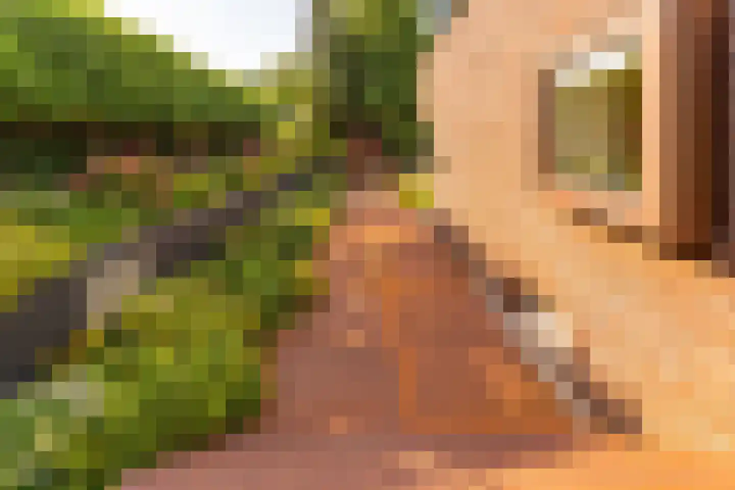 Coolsmahof 3 Driebergen-Rijsenburg thumbnail 34