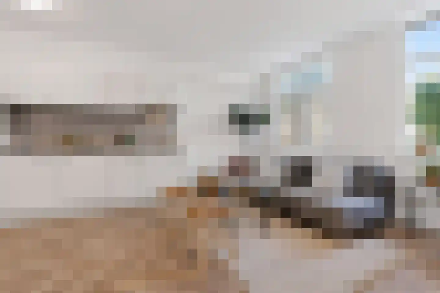 Coomansstraat 15 Delft thumbnail 9