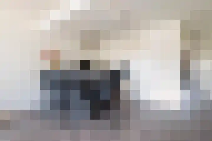 Coöperatiehoek 12 Achterveld thumbnail 14