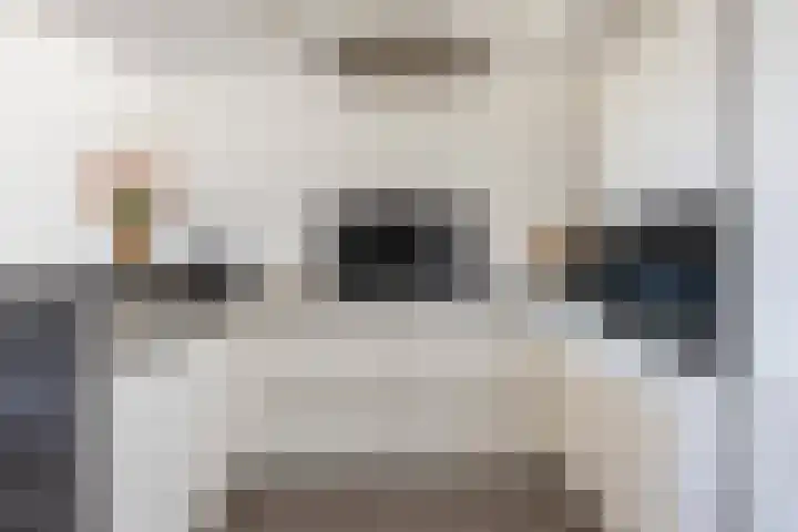 Coöperatiehoek 12 Achterveld thumbnail 15