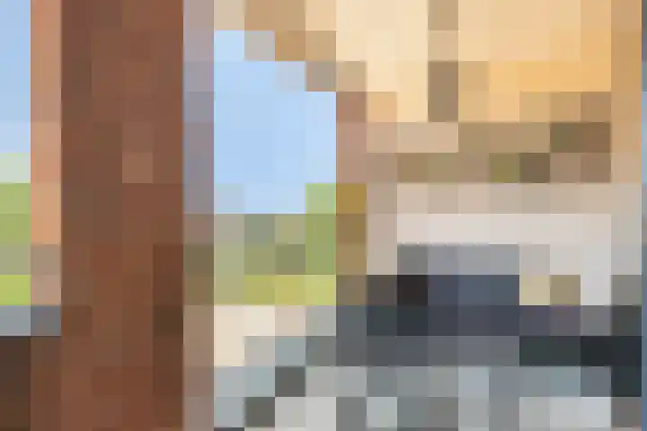 Coöperatiehoek 12 Achterveld thumbnail 18