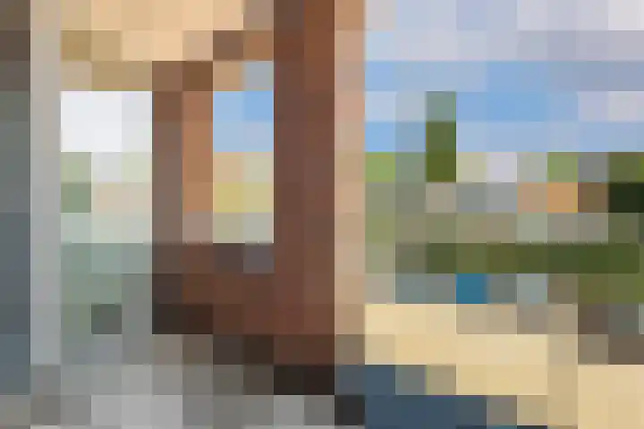 Coöperatiehoek 12 Achterveld thumbnail 20