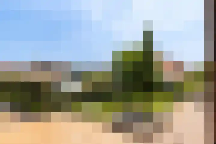 Coöperatiehoek 12 Achterveld thumbnail 22