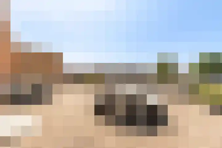 Coöperatiehoek 12 Achterveld thumbnail 27