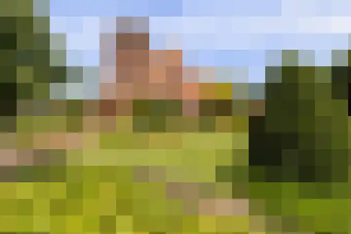 Coöperatiehoek 12 Achterveld thumbnail 28