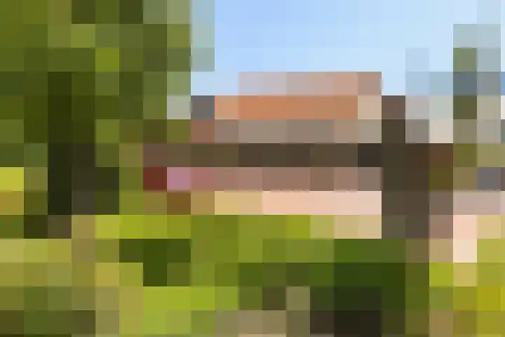 Coöperatiehoek 12 Achterveld thumbnail 29