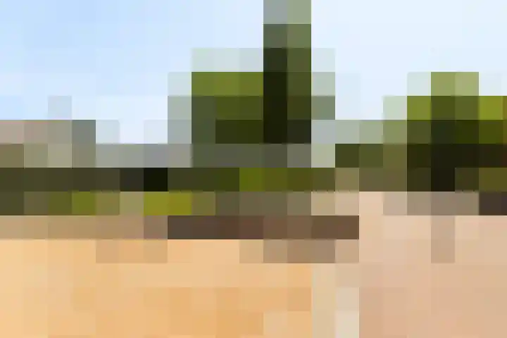 Coöperatiehoek 12 Achterveld thumbnail 31