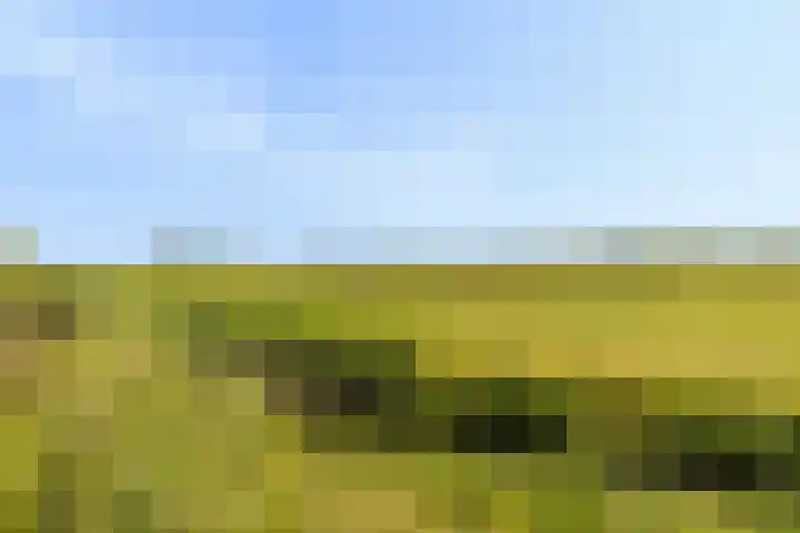 Coöperatiehoek 12 Achterveld thumbnail 33