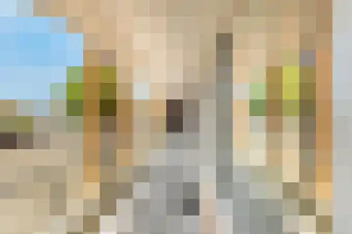 Coöperatiehoek 12 Achterveld thumbnail 6