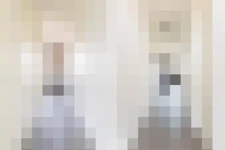 Coöperatiehoek 12 Achterveld thumbnail 8
