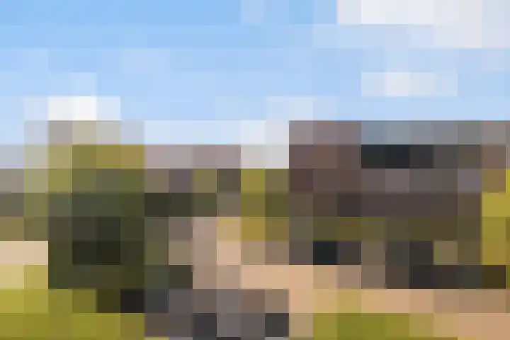 Coöperatiehoek 16 Achterveld thumbnail 10